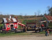 Yeehaw Adventure Farm 1 field